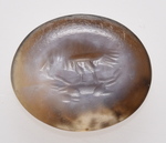 Adler, der einen Hasen zerfleischt